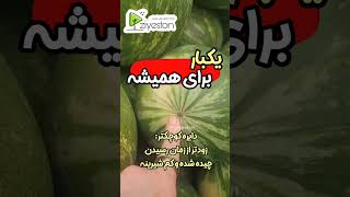 خرید___ هندوانه ترفند __خففنBuy watermelon ? Shortfeed_majidtrikclip