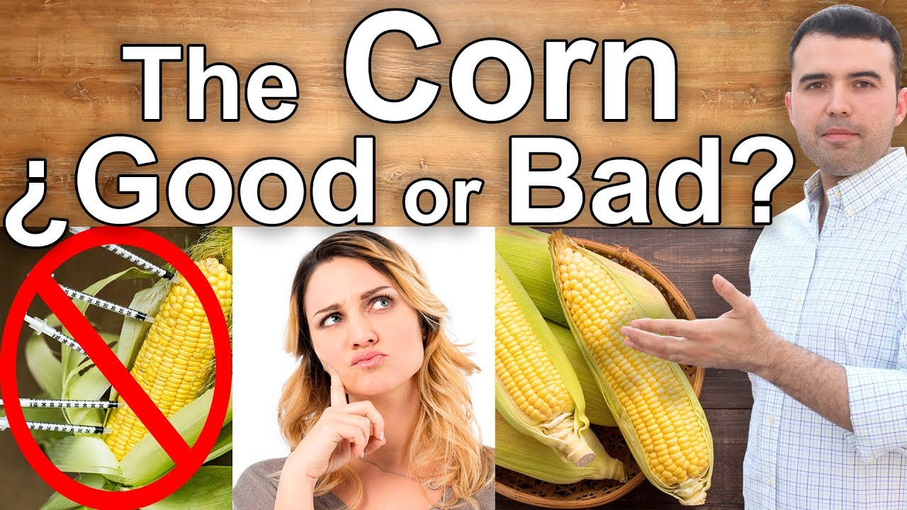 IS CORN HEALTHY? - The Dangers and Health Benefits of Corn - Best Corn and Who Can Eat It