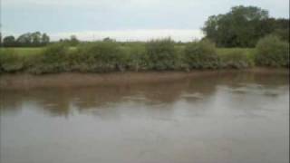 River Trent Aegir