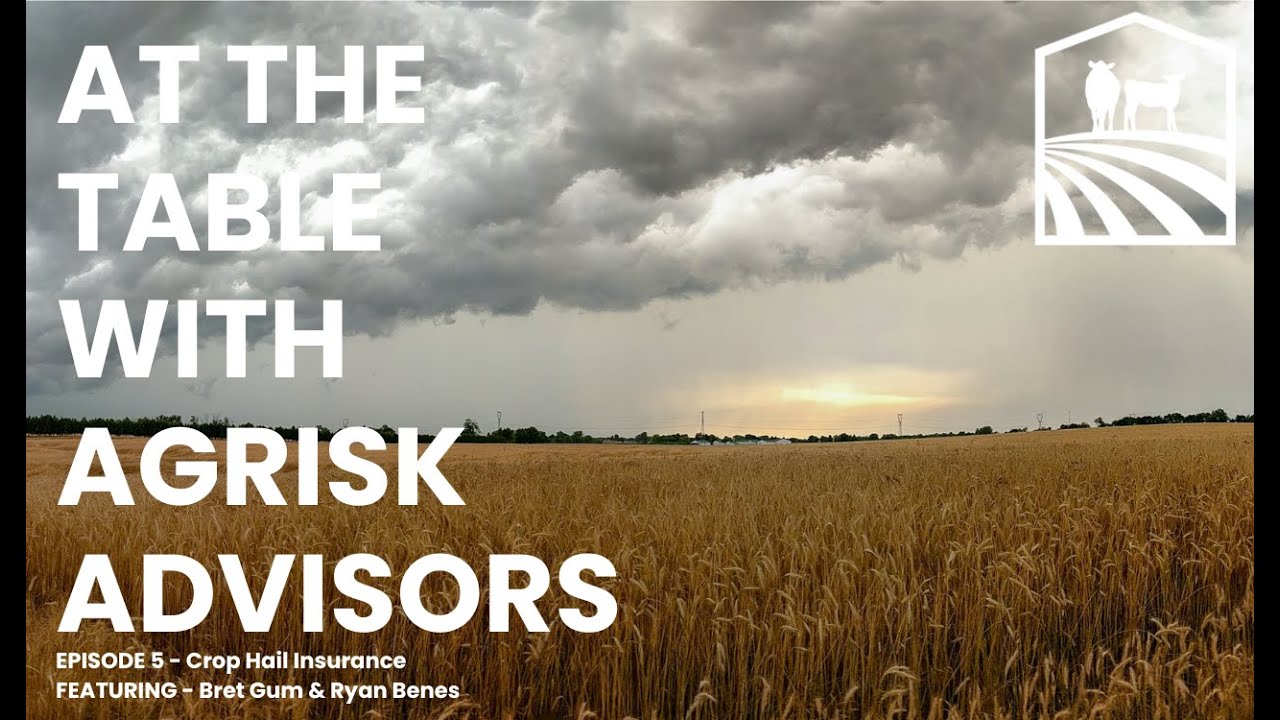 At The Table With AgRisk Advisors - Crop Hail Insurance