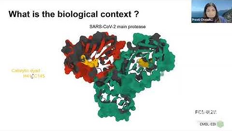 PDBe KB Aggregated Views - providing biological insights into 3D structures