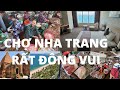 Du lịch Nha Trang #1: Chợ Xóm Mới cực đông vui, mực siêu lớn - Khách sạn 5 sao Mường Thanh chỉ 900k