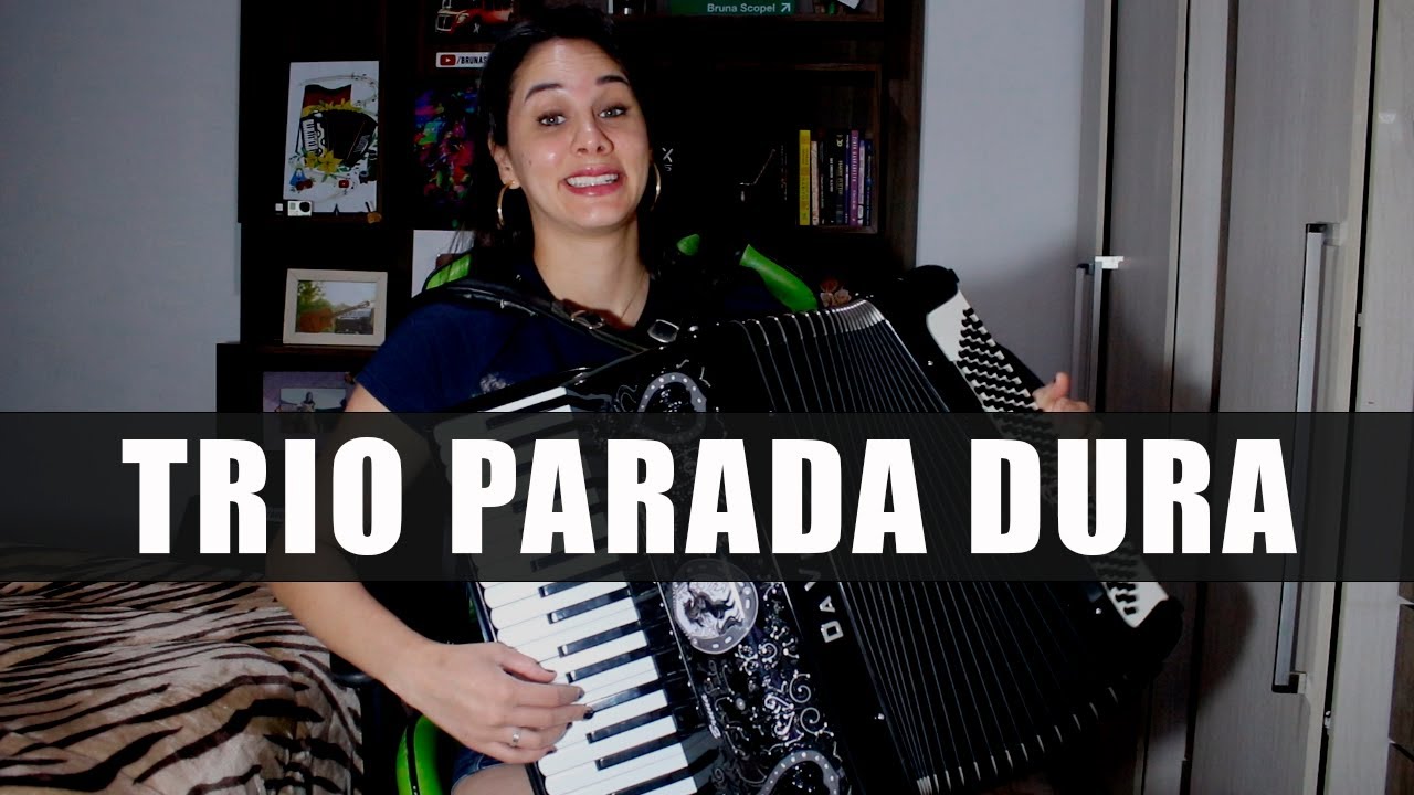 SELEÇÃO do TRIO PARADA DURA da SANFONA/GAITA