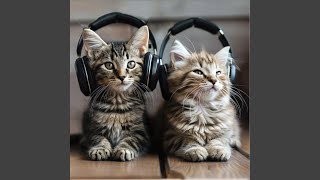 Purring Peace Melody