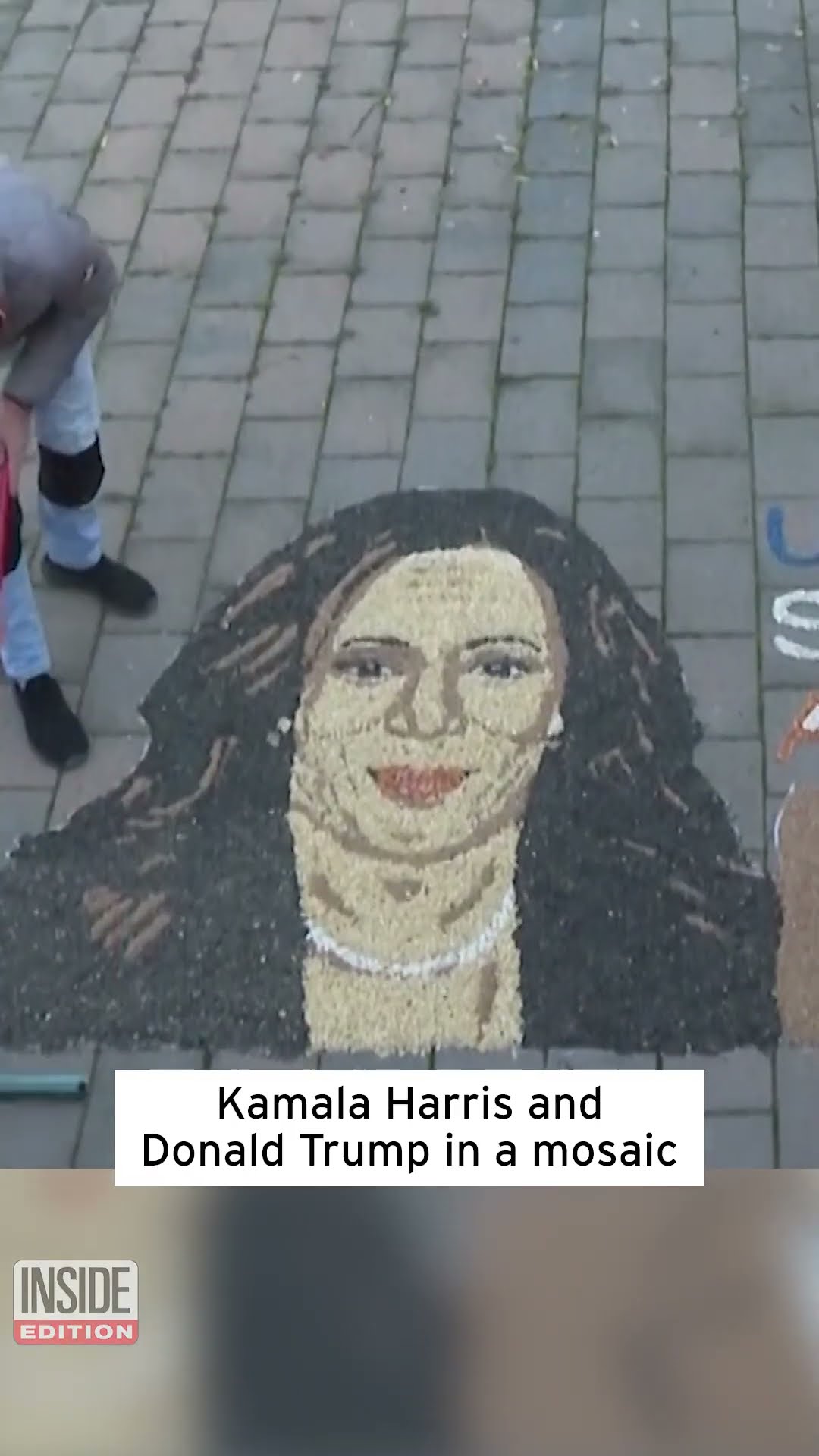 Harris and Trump Portraits Made Out of Beans #shorts