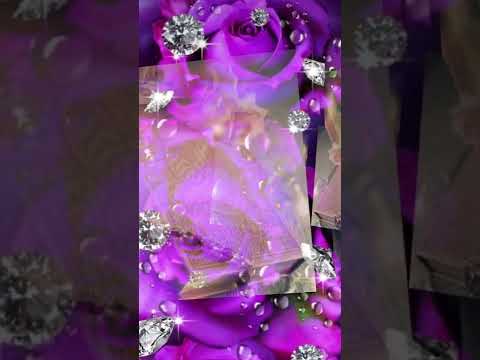 كتاب الله نور للحياة فرقة لون لايف مقتطفات راقية تتكلم بصمت