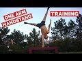 One Arm Handstand Training