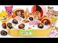 Baby shark rolls fruit with cute squirrels~ | PinkyPopTOY