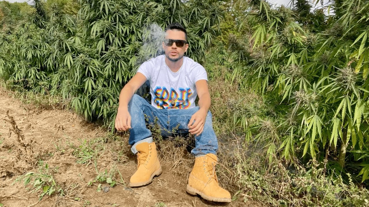 Eddie Grand CBD Prerolls