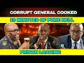 19 Minutes of PURE HELL: Madlanga Leaves General Speechless!