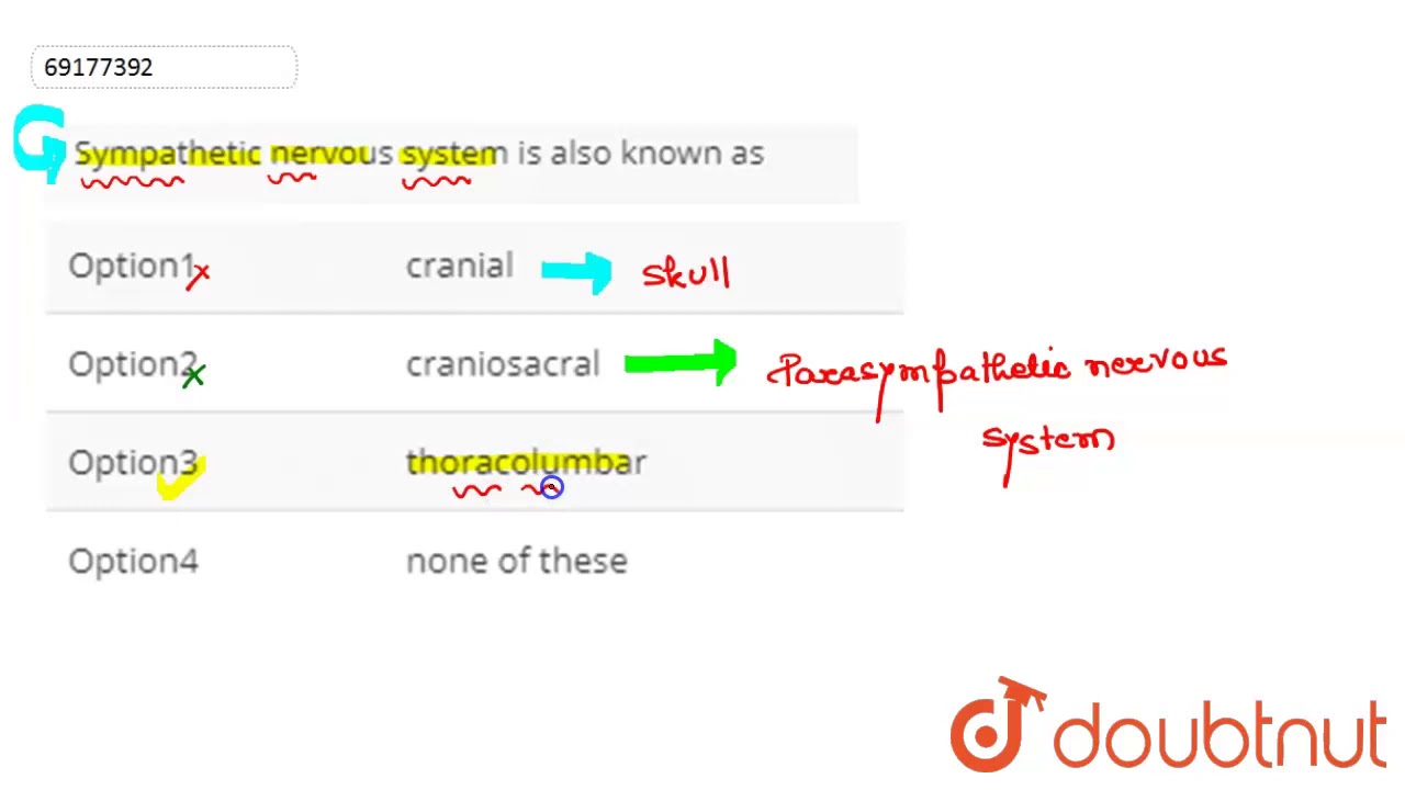 Sympathetic nervous system is also known as - YouTube