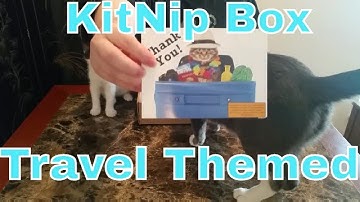 KitNip Box June 2016 Unboxing | Travel Themed