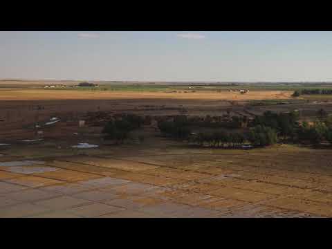 قصيدة القصر للشاعر محمد بن ابراهيم السكران رحمه الله