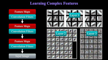 MICCAI 2015 - Automatic Diagnosis of Ovarian Carcinomas