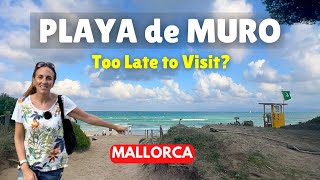 Download Lagu Playa de Muro, Mallorca: WHAT TO EXPECT IN OCTOBER MP3 Download Lagu Playa de Muro, Mallorca: WHAT TO EXPECT IN OCTOBER MP3