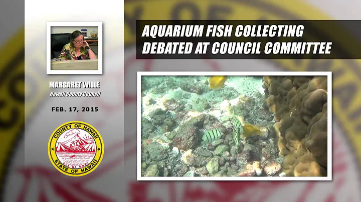 Aquarium Fishing Debated By Hawaii Council Committee