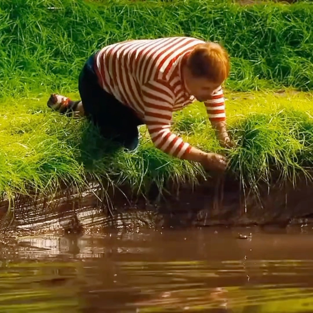 O GORDINHO CAIU NA FÁBRICA DE CHOCOLATE #shorts
