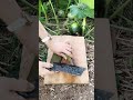 wa666 mini rotary tilling and riding all-in one tree 🌳 short view
