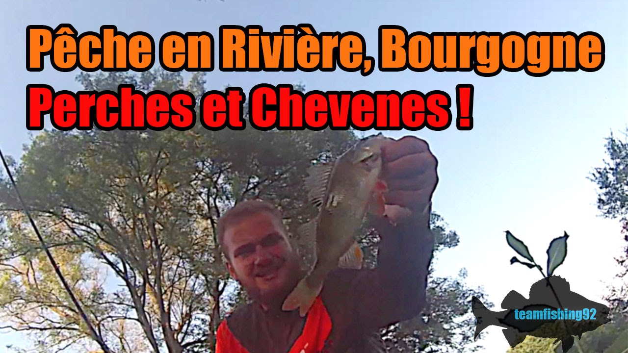 Peche en Rivière : Perches et Chevesnes en Bourgogne