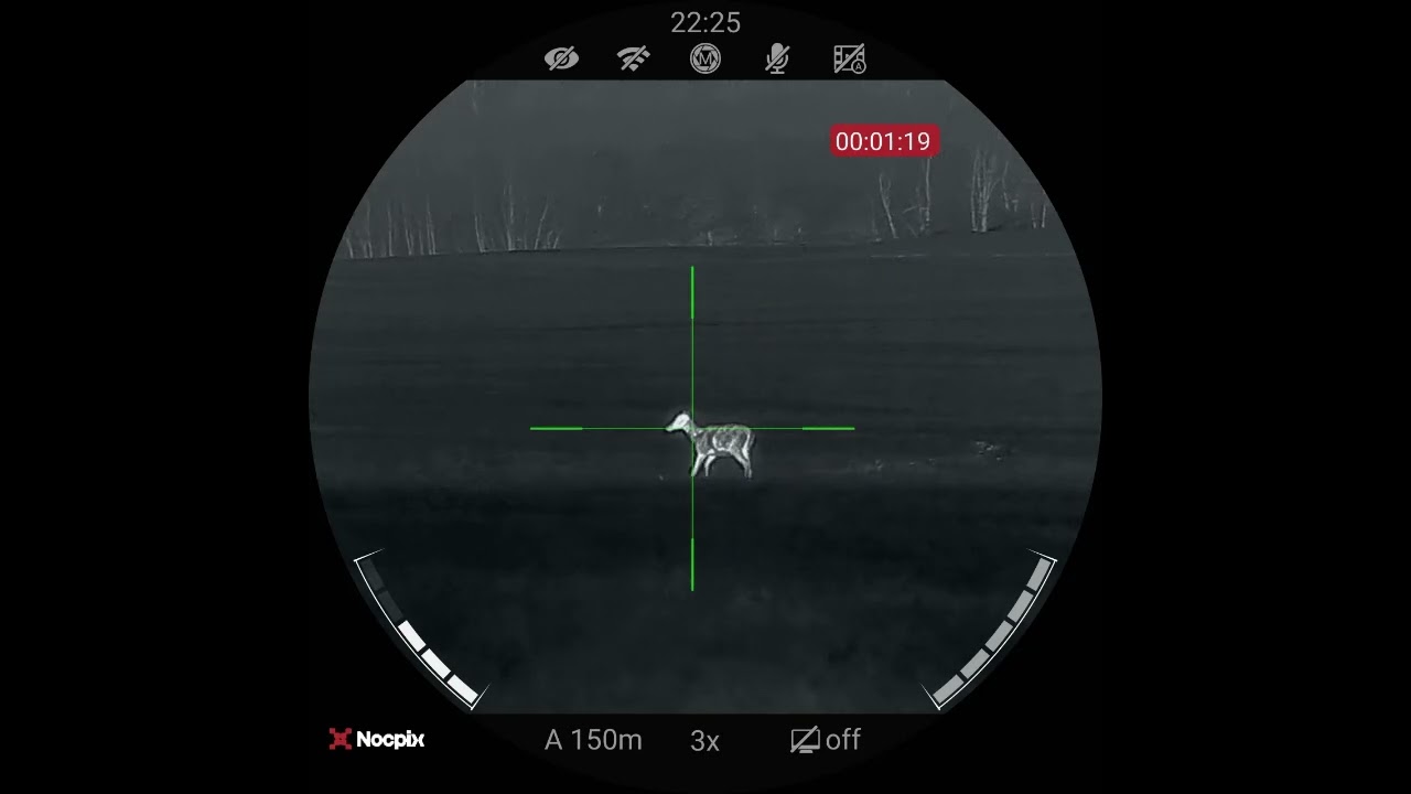 Red deer calf - Nocpix Ace H50