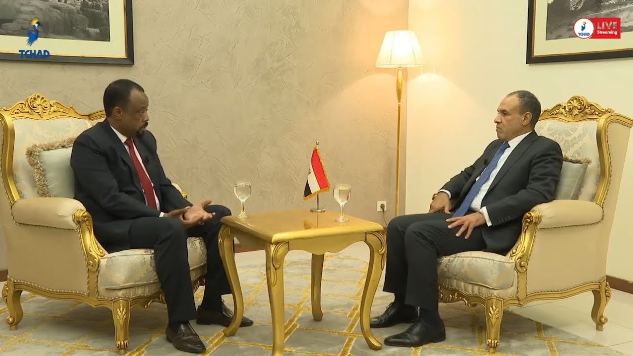 لقاء وزير الخارجية والهجرة د.بدر عبد العاطي مع قناة اوناما-تشاد (٢٧ ديسمبر ٢٠٢٤)