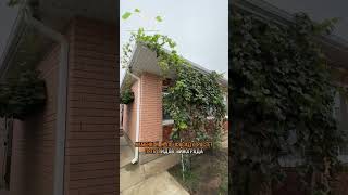 🏝️ Дом в Краснодаре...