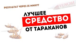 картинка: Venom лучшее средство от тараканов и прусаков. Доказанная эффективность.