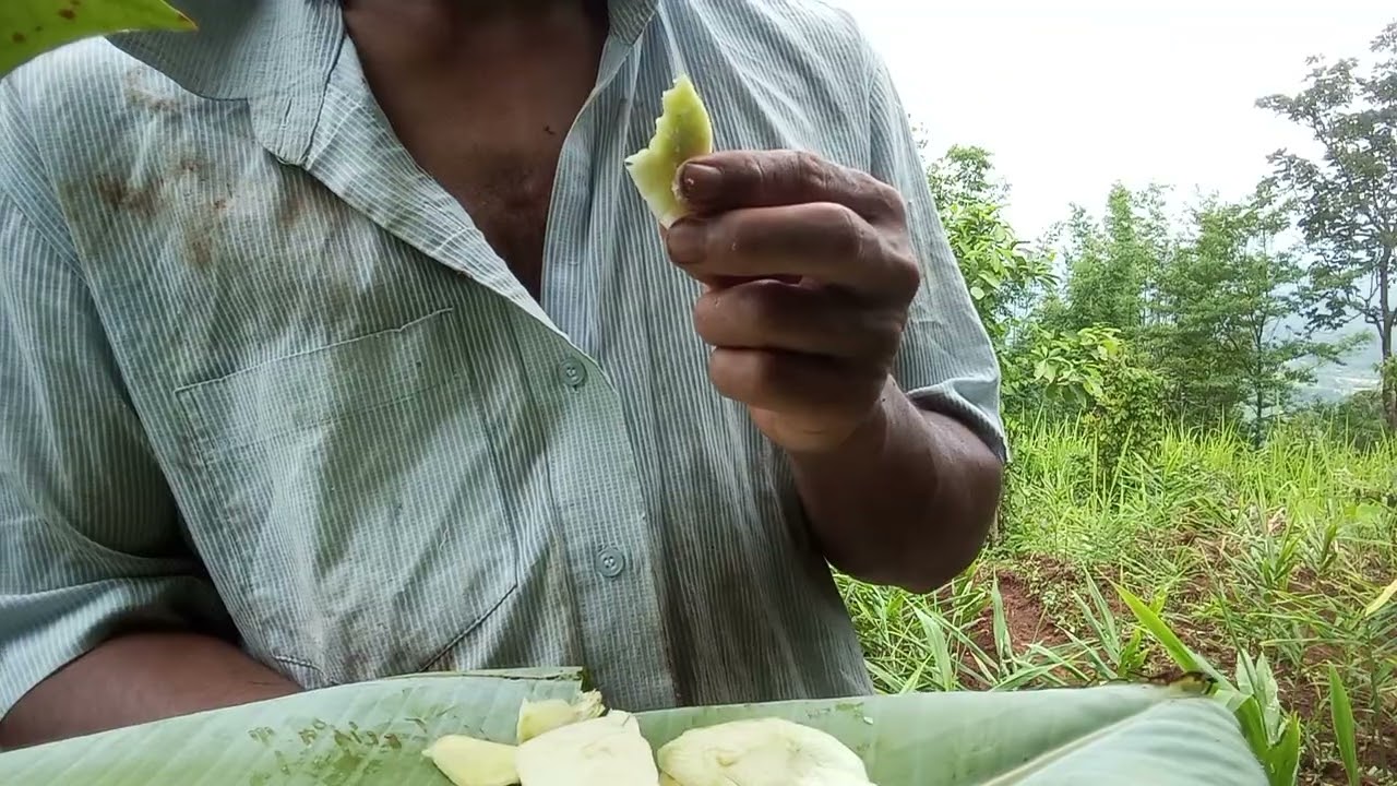 Bam sohpieng ba dang jyrngam ka mluh bad soh mynken (Eating green mango with salt and chilli)