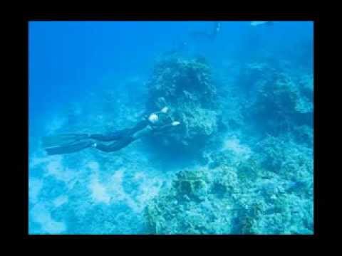 Freediving world championship 2008 - the french national team video