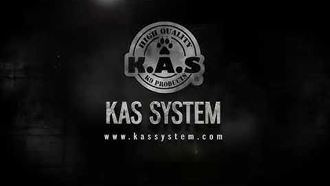 KAS SYSTEM night and dark dog training
