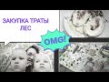 ЛЕС🌲🌳🌲🌊! ЗАКУПКА💰🧾🧺 ПРОДУКТОВ, ВКУСНЯШЕК, КОНТЕЙНЕРОВ