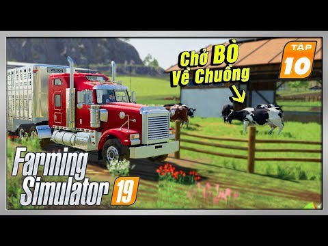 FS19 #10 | Quá Trình Nuôi BÒ SỮA Cùng NguyễnQuíGamer