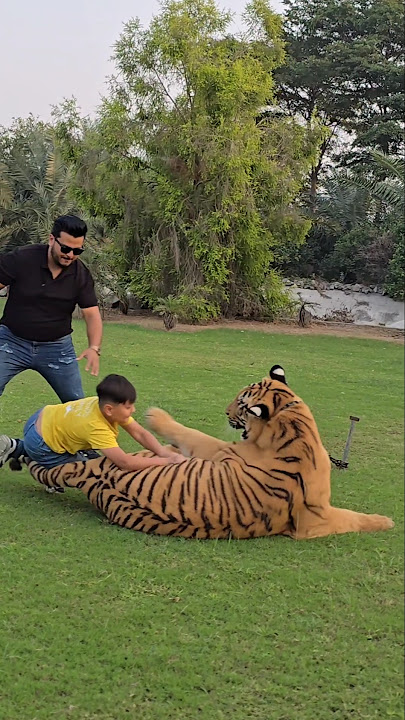 Prank with Little Kid 😂 | Nouman Hassan
