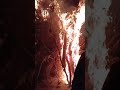 #Holika Dahan ## ka video # Harnathpur