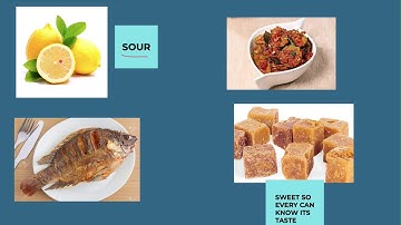 CLASS 5 NCERT EVS CH 3 FROM TASTING TO DIGESTING READING WITH HINDI EXPLANATION