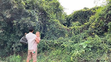 The  YOUNG FATHER returns to his old House and is shocked