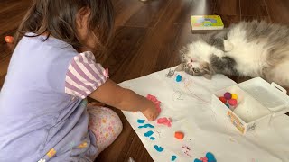 フミフミの邪魔をされても怒らずママに甘えに行く猫　ノルウェージャンフォレストキャット　Cat deprived of cushion