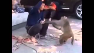 Meymun Adamı Döyur