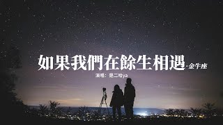 是二哈ya/RE-D - 如果我們在餘生相遇·金牛座『如果未來碰上伯樂，愛情碰上金牛座。』【動態歌詞MV】