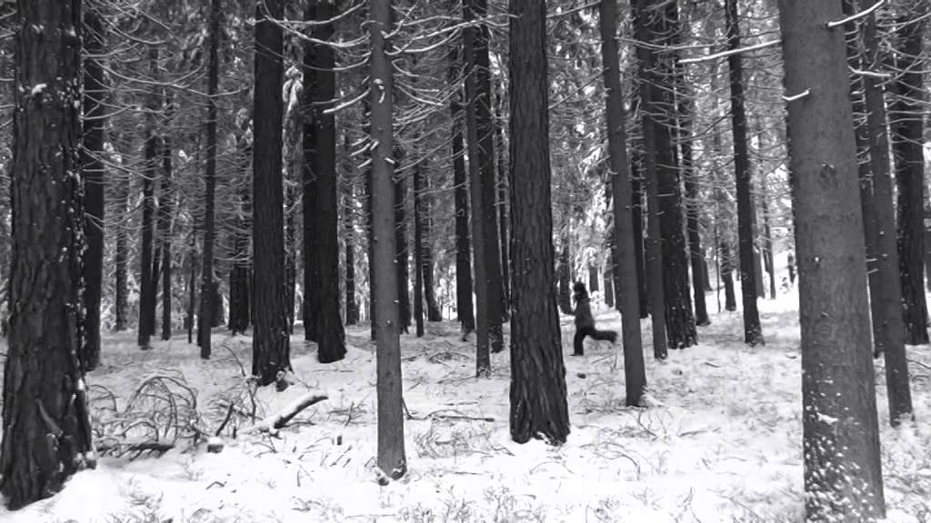 Wolfgang Fischer - In der schönsten Zeit in deinem Leben
