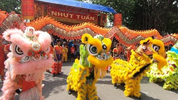 🐲 Trực Tiếp Lễ Hội Kỳ Yên Đình Tân Lân – Ngày Hội Lân Sư Rồng 12/12/202