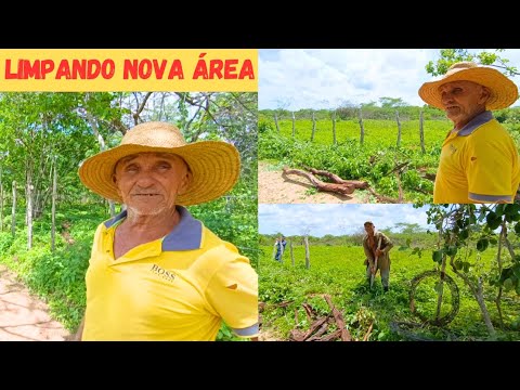 ? Limpando Nova Área do Sítio Pra Refazer o Cercado Vejam Só Como tá Ficando
