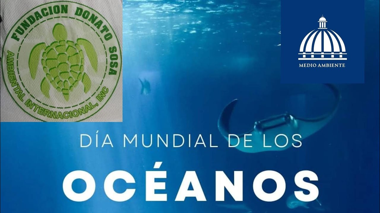 Hablemos de Los Océanos y Costas Marinas