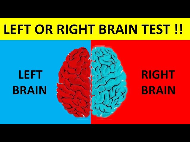 Left Brain Right Brain Test. 100% Reliable Psychology-Based