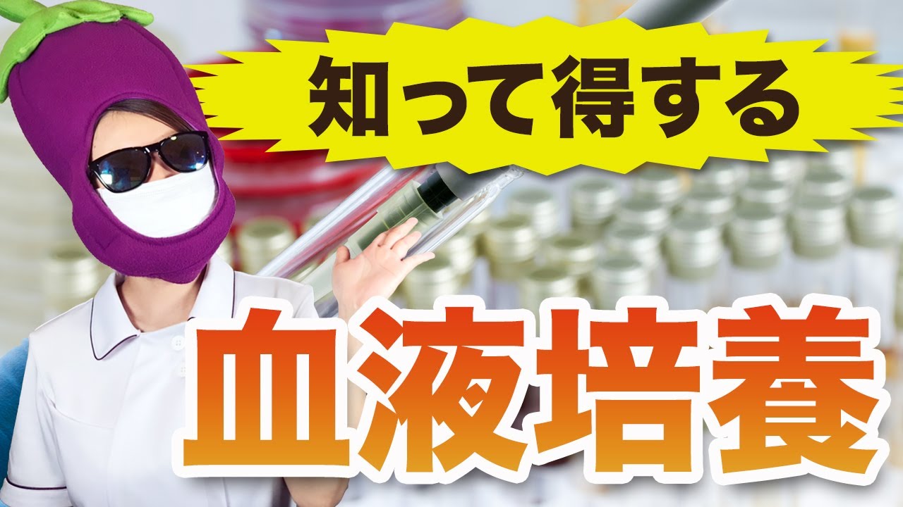 なんとなくやりがち 血液培養の注意点 Youtube