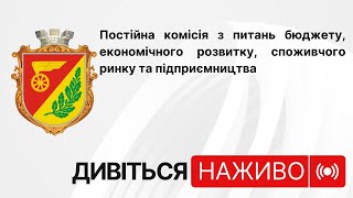 Постійна комісія з питань бюджету, економічного розвитку, споживчого ринку та підприємництва 25.06.2024