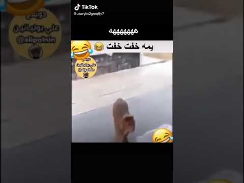 ١٣ نيسان ٢٠٢٠