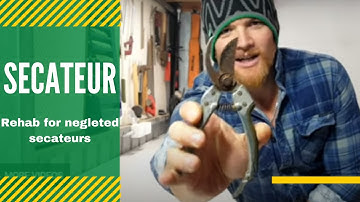 SHARPENING SECATEURS - fresh cuts