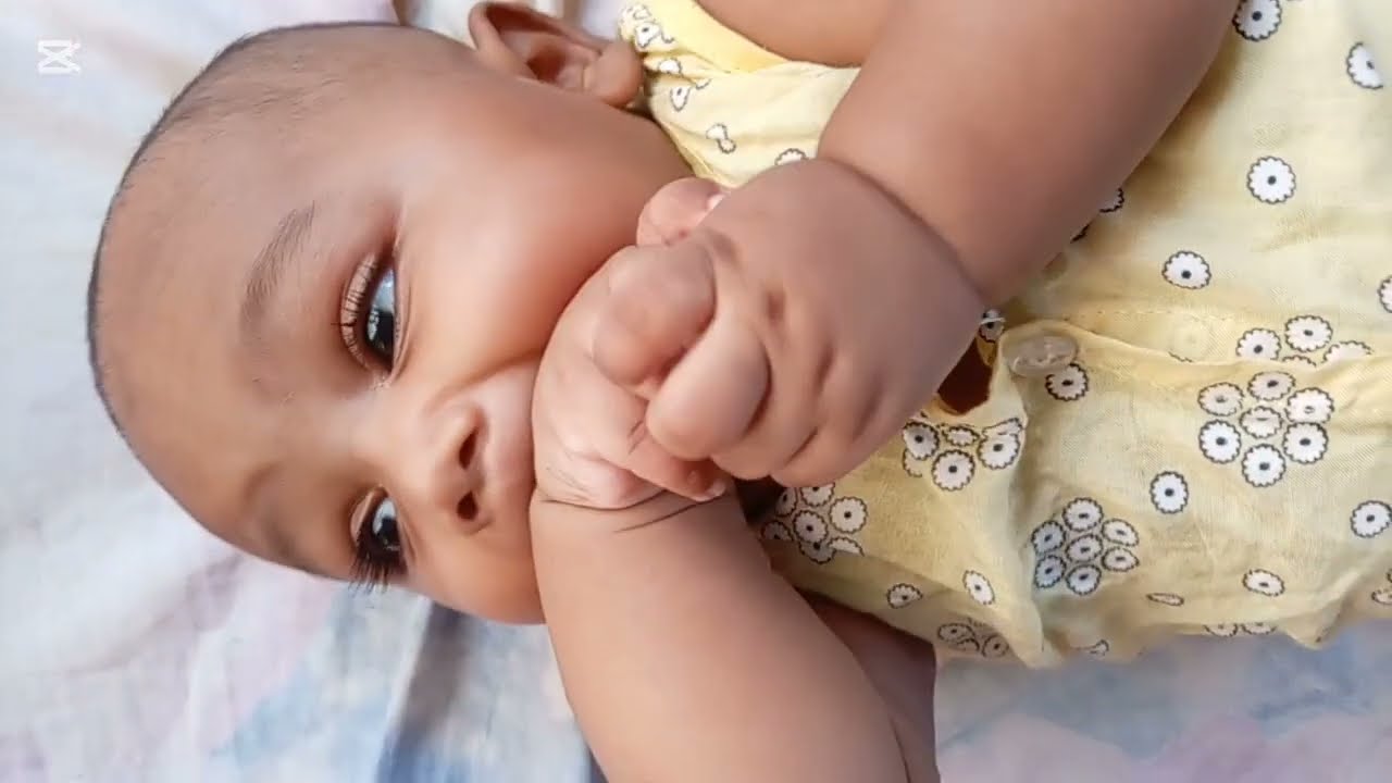 শাফিন আজকে পুরো ক্ষেপে গেছে|Shafin is crazy today 