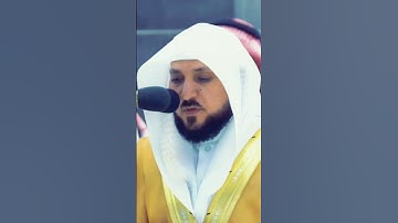تلاوة لامست القلوب بروعة الصوت | الشيخ المعيقلي من سورة النصر